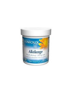 FENIOUX Alkekenge 200 Gélules