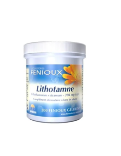 FENIOUX Lithotame 200 Gélules